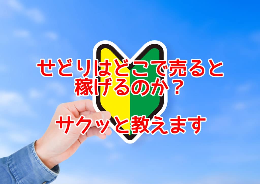 せどりはどこで売ると 稼げるのか? サクッと教えます