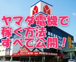全部教えます！ヤマダ電機でせどりをするコツとは？ノウハウ