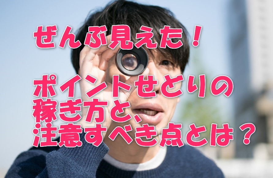ポイントせどりのやり方