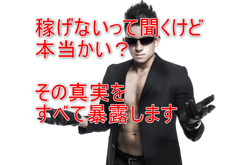 アンケートモニター稼げる