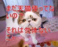 天猫の使い方
