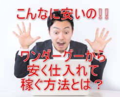 ワンダーグー転売