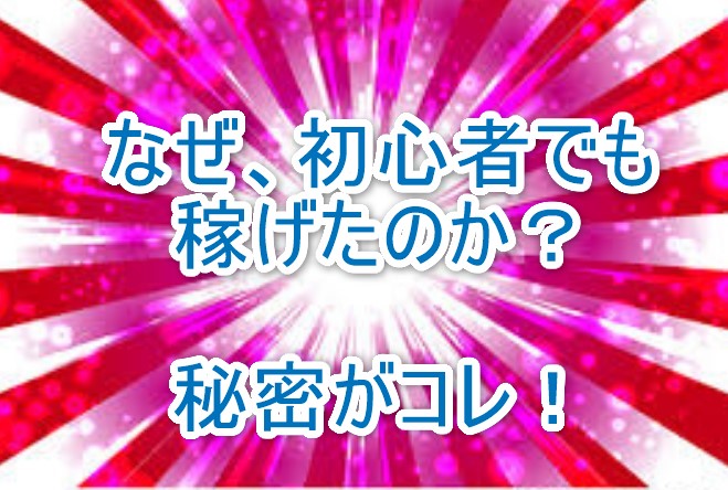 電脳せどりとは