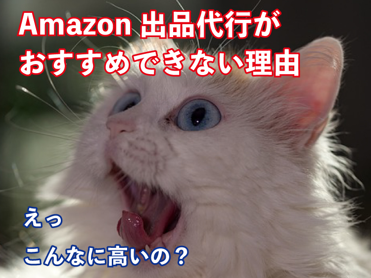 Amazon出品代行がおすすめできない理由