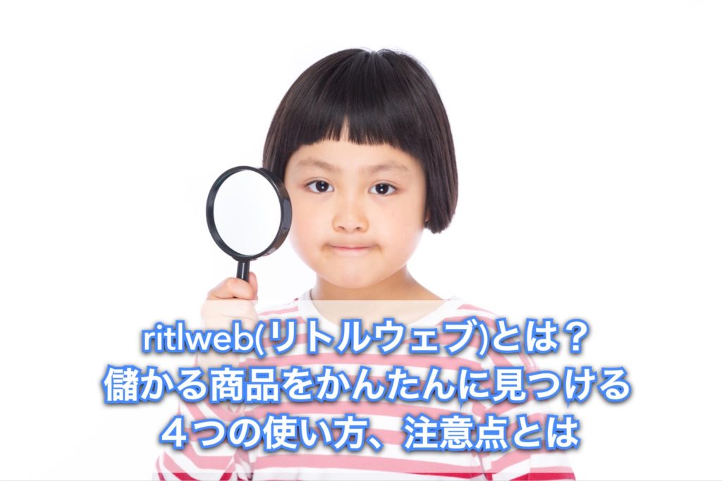 リトルウェブとは