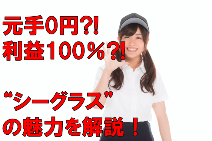 シーグラスアイキャッチ