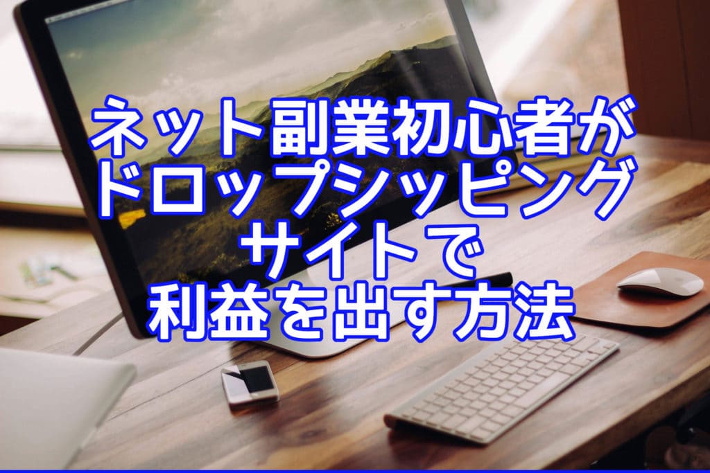 ネット副業初心者がドロップシッピングサイトで利益をだす方法