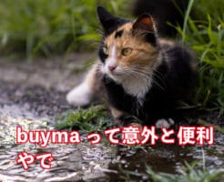 buymaの評判