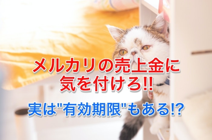 注意！メルカリの売上金であなたが気をつけるべき３つの点とは？