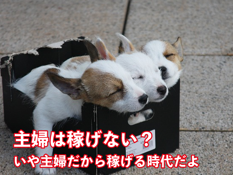 月5万円ほしい!主婦のあなたが自宅で稼ぐ、おススメな3つの方法とは?