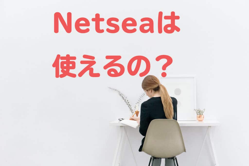 ネッシー(netsea)で個人は稼げない！その理由と、本当におススメな卸サイト３選