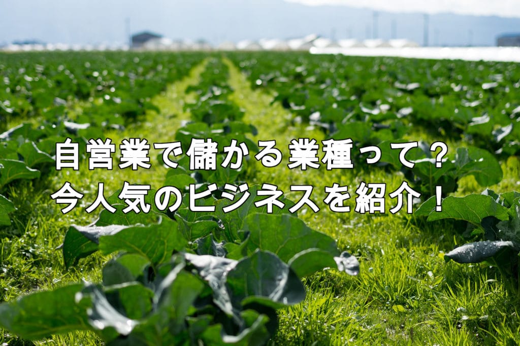 ガッチリ儲かる!自営業におススメなたった1つのビジネスと、やるべき理由とは