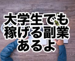 大学生でも稼げる副業あるよ